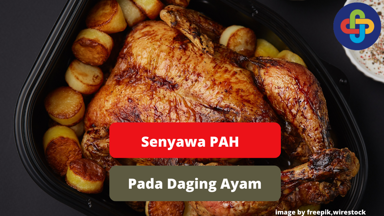 Kenali Senyawa HCA Pada Daging Ayam Agar Tetap Sehat